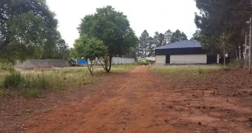 Barracão/galpão em distrito industrial domingos biancardi, (bauru) - sp