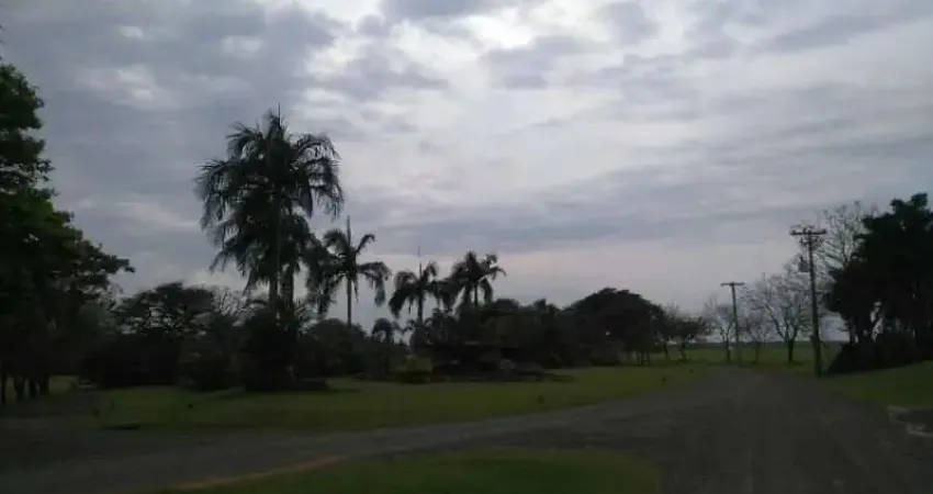 Terreno em condomínio fechado à venda na Rod. SP 321, Palmas Del Rey, Arealva