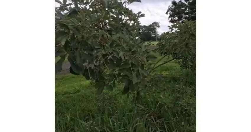 Terreno em condomínio fechado à venda na Rod. SP 321, Palmas Del Rey, Arealva