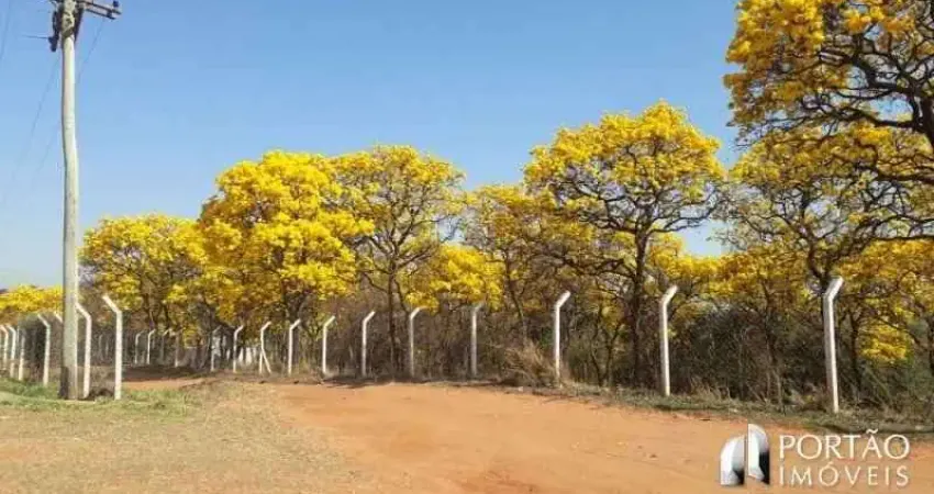 Chácara / sítio com 3 quartos à venda na Rodovia Cesario Jose de Castilho, km 358, Zona Rural, Arealva