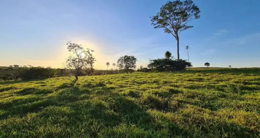 Fazenda à venda na Cafelândia, Zona Rural, Cafelândia