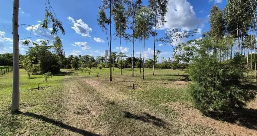 Fazenda à venda na Rua Engenheiro Saint Martin, Zona Rural, Avaí