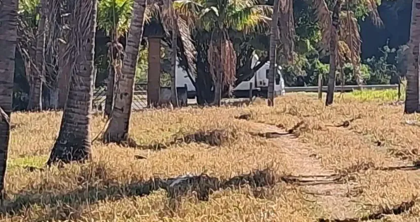 Fazenda à venda na Rua Marechal Deodoro, Zona Rural, Guaimbê
