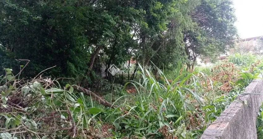 Terreno à venda na Servidão Beija-Flor Vermelho, 75, Ingleses do Rio Vermelho, Florianópolis