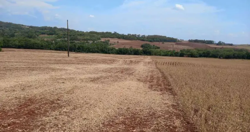 Chácara / sítio à venda na Dom Armando, Dom Armando, Missal