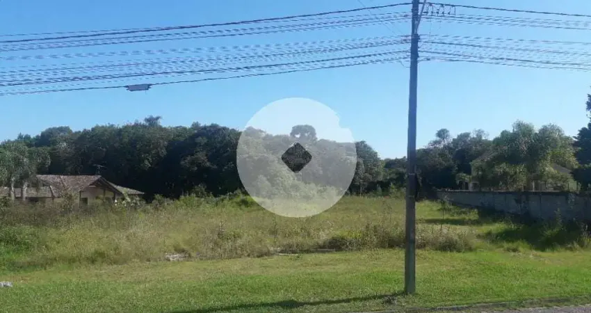 Terreno à venda, 16.500 m² por R$ 1.889.000 - São Miguel - Araucária/PR