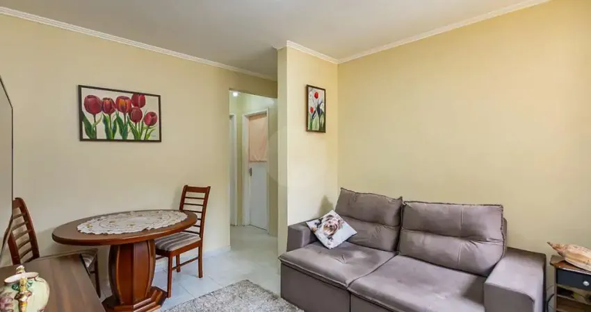 Apartamento 2 quartos ensolarado | 46 m  privativos | rua joão batista palu, 20  cic