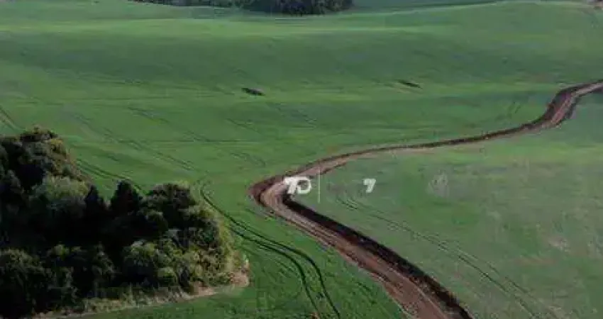 Fazenda à venda, 2153800 m² por r$ 24.000.000,00 - rio do tigre - santa maria do oeste/pr