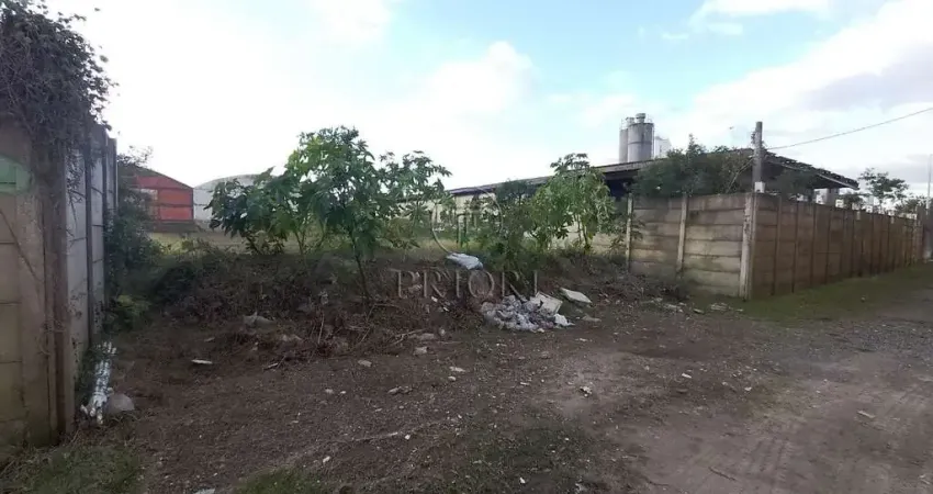 Terreno comercial para alugar na Avenida Severo Dullius, 1085, São João, Porto Alegre