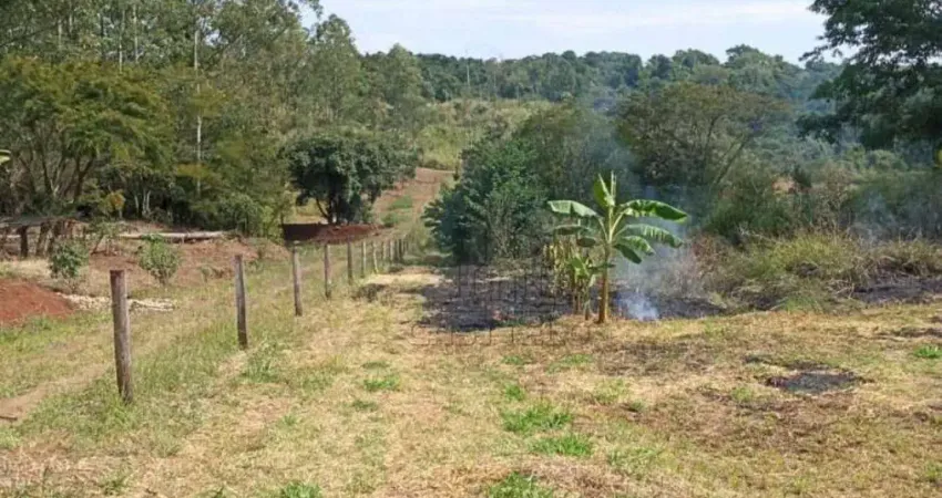 Chácara à venda, 22945 m² por R$ 400.000,00 - Maravilha - Londrina/PR
