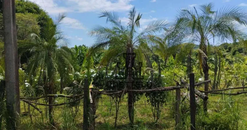 Chácara à venda, 5065 m² por R$ 285.000 - Três Bocas - Londrina/PR