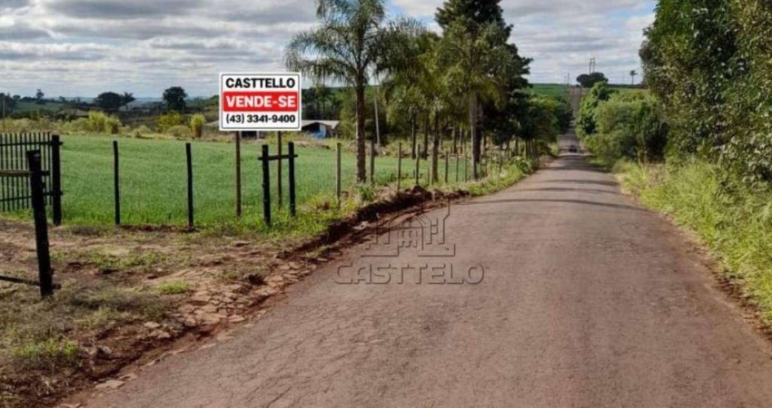 Sítio à venda, 20 m² por R$ 1.700.000,00 - Jardim Shenandoa - Marialva/PR