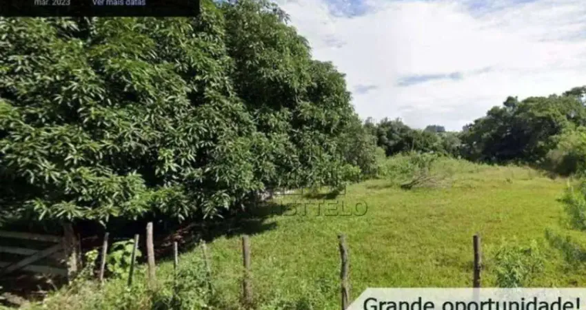 Terreno à venda, 2000 m² por R$ 1.250.000,00 - Conjunto Residencial Vivendas do Arvoredo - Londrina/PR