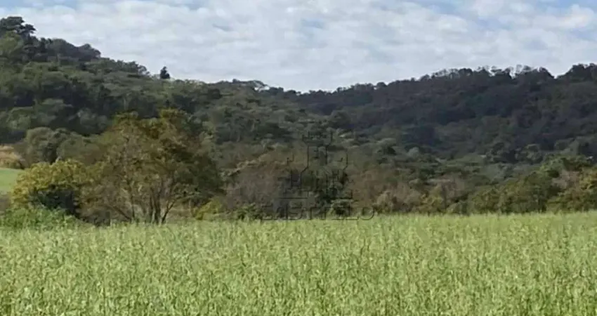 Sítio à venda, 205700 m² por R$ 2.600.000 - Distrito Lerroville - Londrina/PR