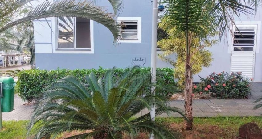 Apartamento com 2 dormitórios à venda, 55 m² por R$ 280.000,00 - Gleba Fazenda Palhano - Londrina/PR