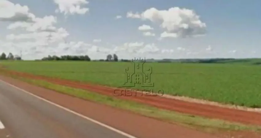 Área à venda, 136 m² por R$ 6.000.000,00 - Conjunto Habitacional Henrique Julio Berger - Rolândia/PR