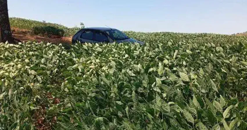 Chácara / sítio à venda na Zona Rural, Jataizinho