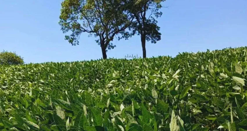 Chácara / sítio à venda na Zona Rural, Jataizinho