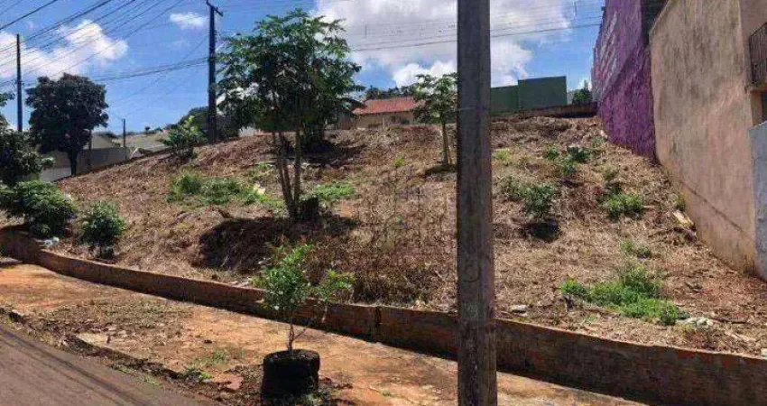 Terreno à venda, 450 m² por r$ 260.000 - coroados - londrina/pr