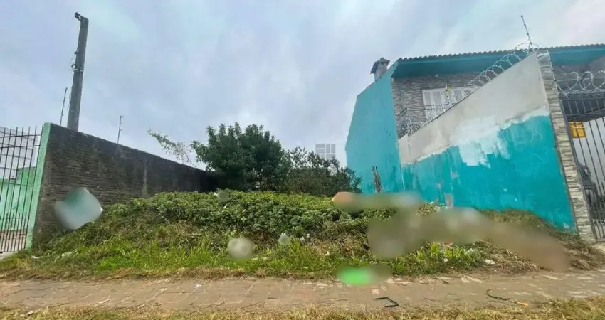 Terreno comercial para alugar no São Gonçalo, Pelotas 