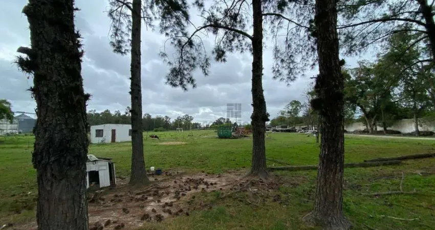 Terreno comercial para alugar no Três Vendas, Pelotas 