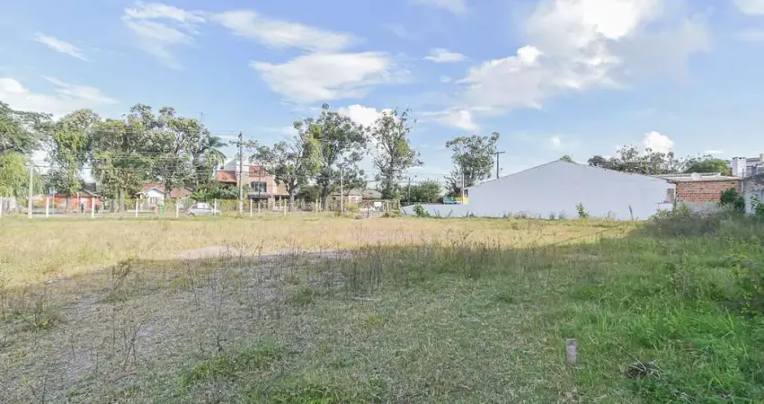 Terreno comercial para alugar no Areal, Pelotas 