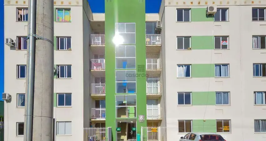 Apartamento com 2 quartos para alugar no Fragata, Pelotas 