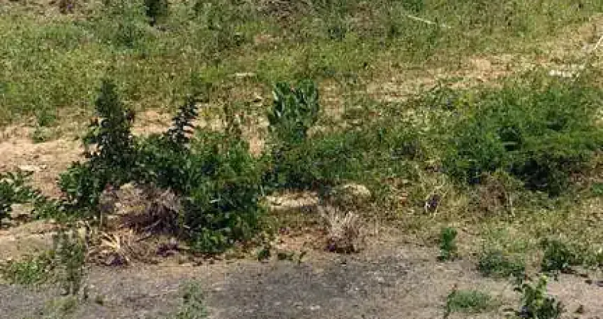 Terreno loteamento em vila da rainha  -  campos dos goytacazes