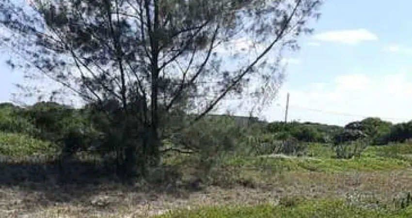 Terreno à venda na Rua Capitania São Vicente- Xexe, Farol de São Thomé, Campos dos Goytacazes