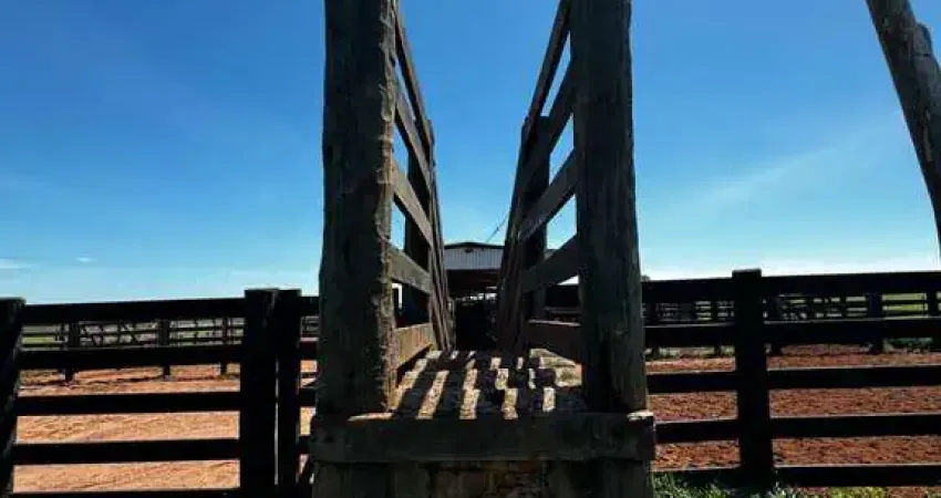 Fazenda em rural pontinha do coxo - camapuã - mato grosso do sul
