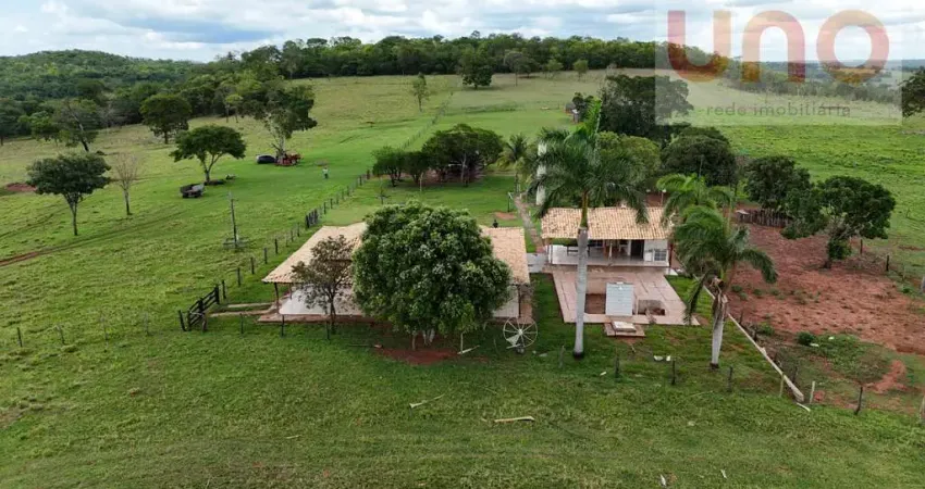 Fazenda à Venda em Camapuã/MS | 239 ha | Rica em Água | Pontinha do Cocho