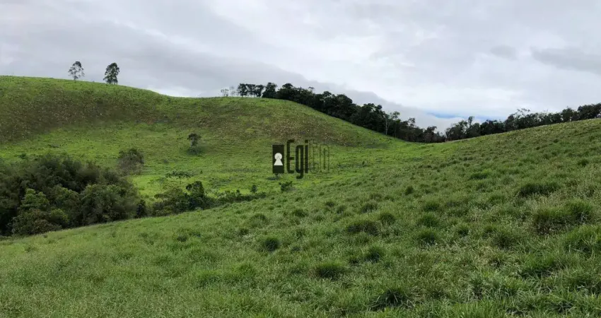 Fazenda com 4 dormitórios à venda, 700000 m² por r$ 1.499.900,00 - centro - juiz de fora/mg