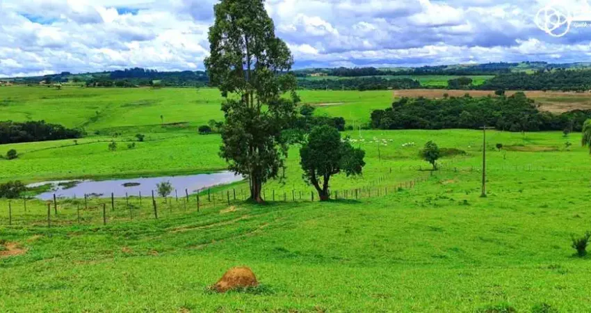Grande oportunidade fazendola 12,19 alqueires - itapetininga/sp