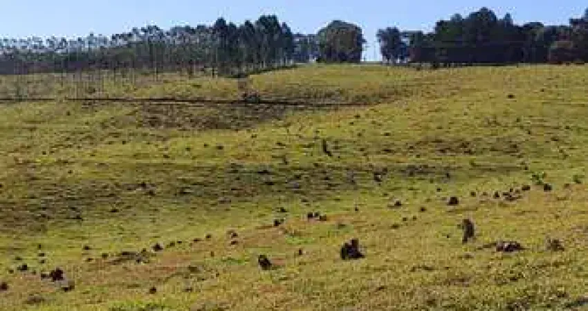 Fazenda com 1 sala à venda na Zona Rural, Botucatu