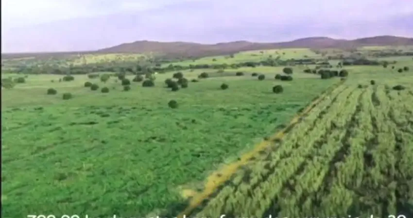 Fazenda com 1 sala à venda na Zona Rural, Manga