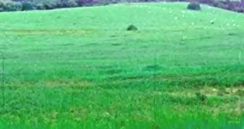 Fazenda com 1 sala à venda na Zona Rural, Bofete