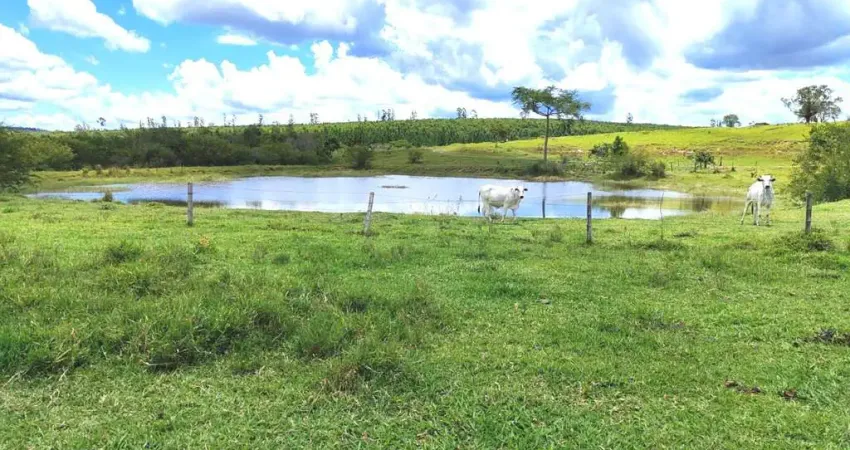 Grande oportunidade  fazenda 294 alqueires  a venda - botucatu/sp