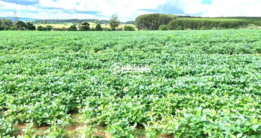 Fazenda 32 alqueires perto da cidade interior sp | guilherme marcondes