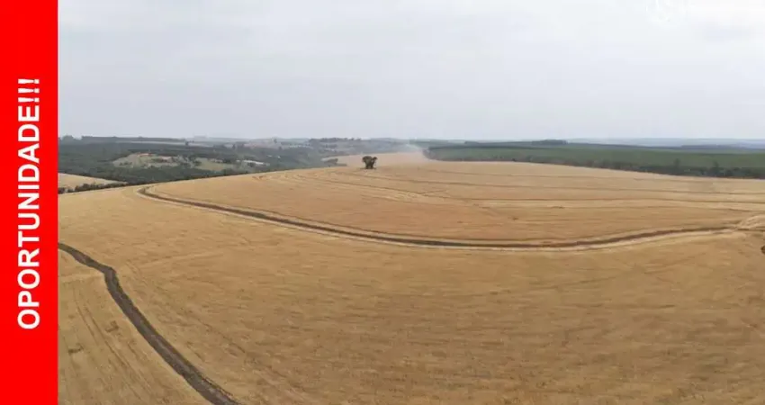 Fazenda 290 ha plantio de soja agro negocio - itapetininga/sp
