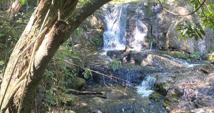 Sitio 13,86 alqueires paulista com cachoeira - itu e  mairinque/sp