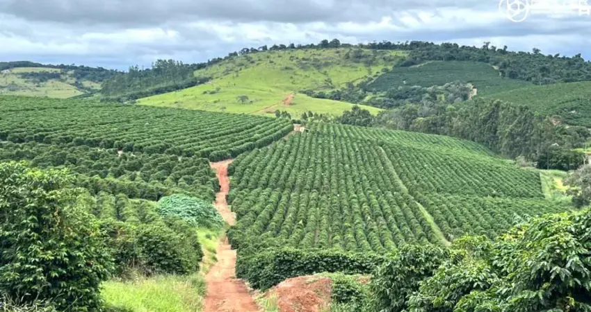 Fazenda à venda no Centro, Santo Antônio do Amparo