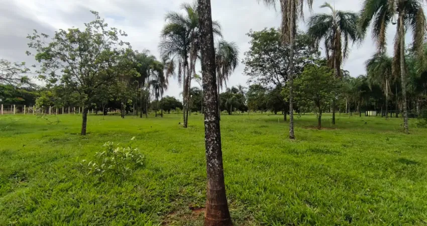 Chácara / sítio à venda na Rua Copaíba, Vila Moreninha III, Campo Grande