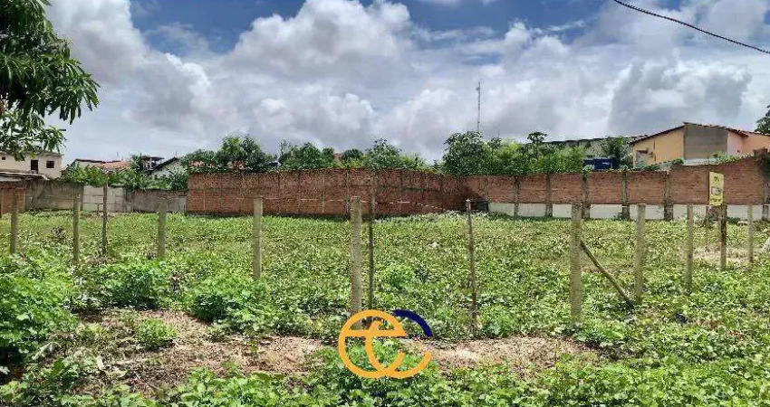 Terreno comercial para alugar na Rua Ipixuna, Parque Pindorama, São Luís