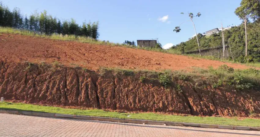 Terreno em condomínio fechado à venda na Estrada Salvaterra, Km 5, Salvaterra, Juiz de Fora