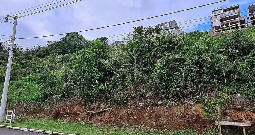 Terreno em condomínio fechado à venda na Rua Vicente Vanni Nardelli, Lote 6, Aeroporto, Juiz de Fora