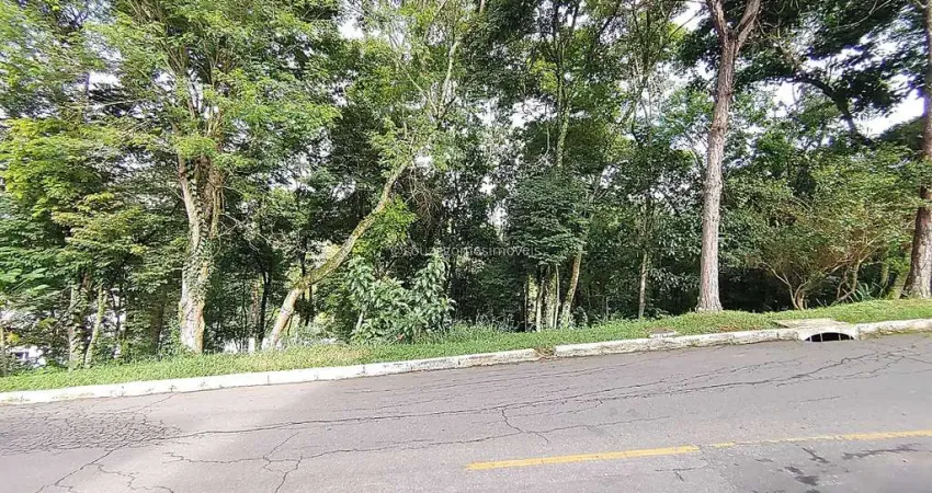 Terreno em condomínio fechado à venda na Rua José Honório Loures, Alto dos Pinheiros, Juiz de Fora