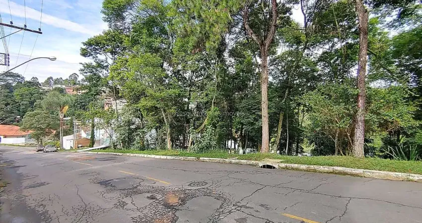 Terreno em condomínio fechado à venda na Rua José Honório Loures, Alto dos Pinheiros, Juiz de Fora