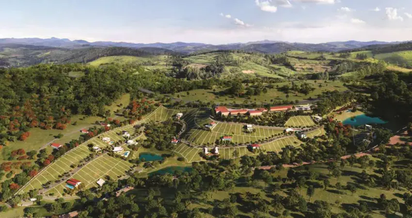 Lançamento no salvaterra entre a natureza e a comodidade para venda