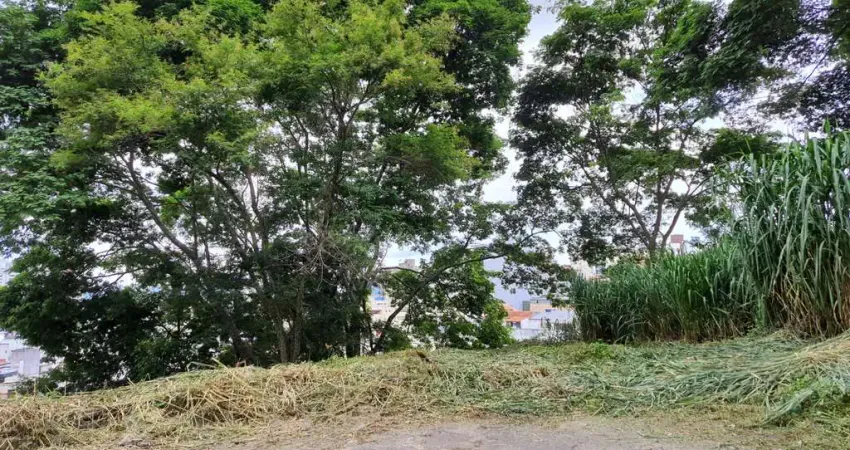 Terreno com bom potencial de construção no cascatinha para venda