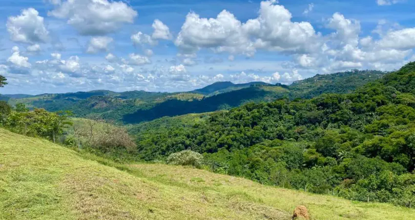 Terreno em condomínio fechado à venda na Estrada Domingos Hungaro, 85, Salvaterra, Juiz de Fora